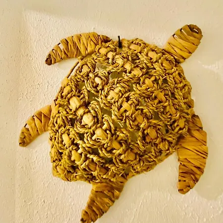 アパート Les Pieds Dans Le Sable アルジェレス・シュル・メール